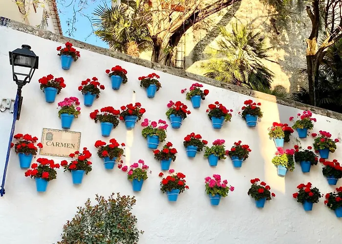 Apartman Center Ii - Eaw Homes